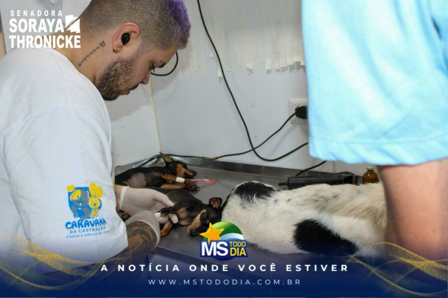 Imagem WhatsApp Image 2026-05-07 at 31946 PM